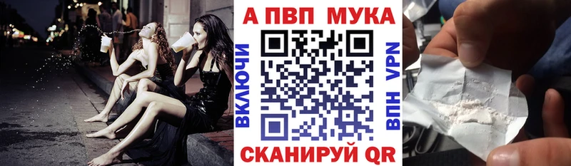 Альфа ПВП СК  Бакал 