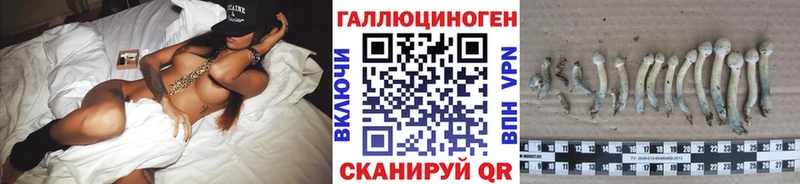 omg ONION  купить наркотики сайты  Бакал  Псилоцибиновые грибы Magic Shrooms 